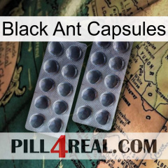 Black Ant Capsules 31